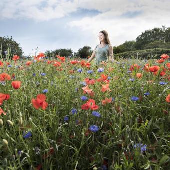 Eden horticulturalist in a field of wildflowers